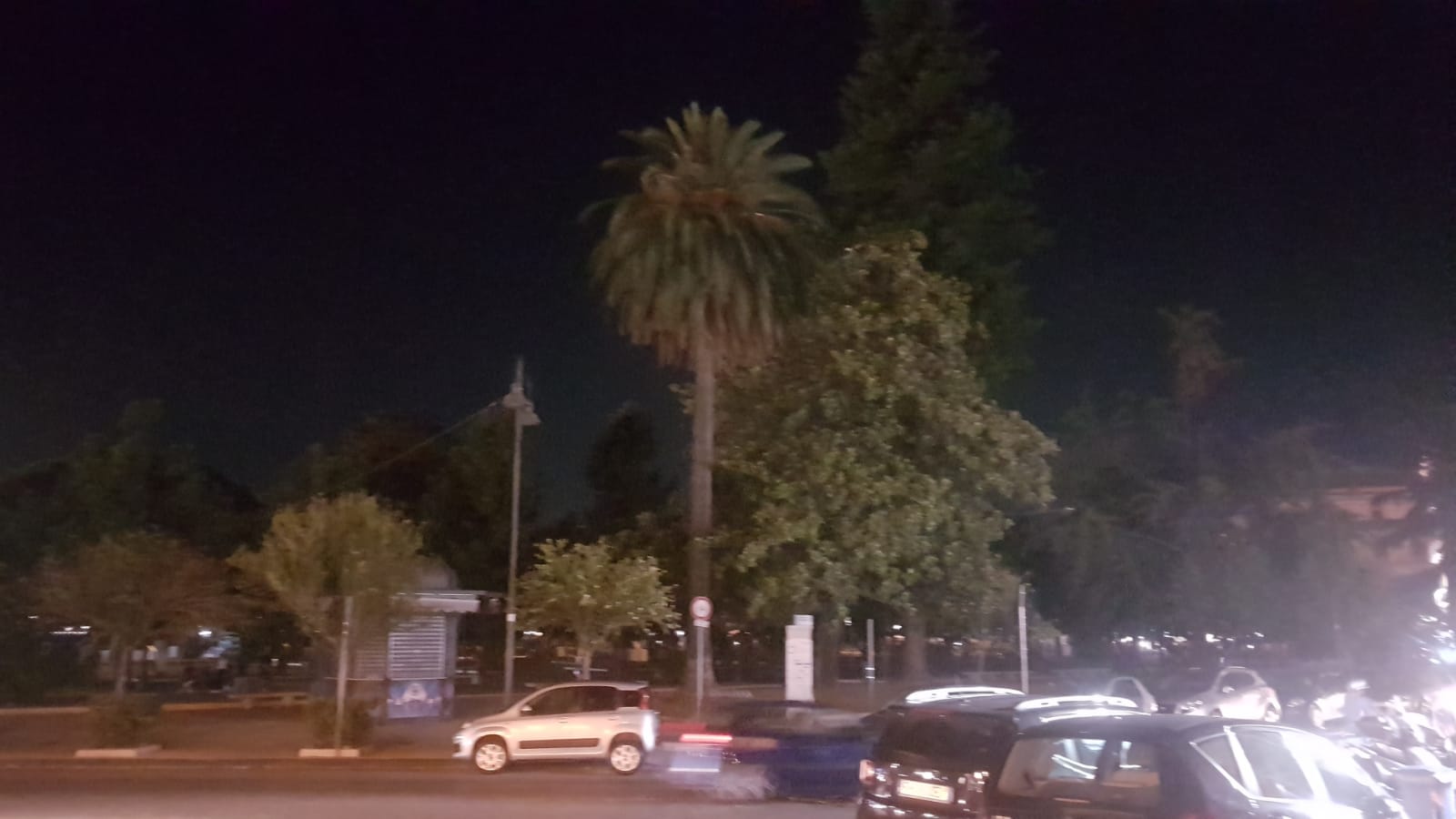 Villa Comunale al buio, blackout totale sul Lungomare (LE FOTO) 4 blackout