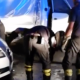 incidente-viaripuaria
