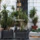 fioriere-castellammare