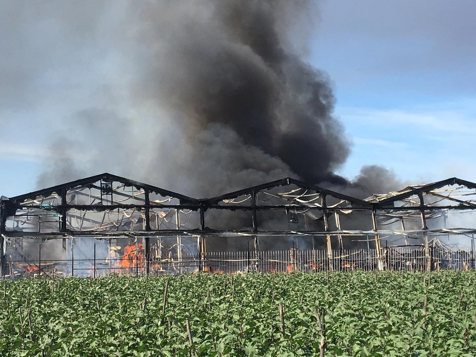 incendio-serra