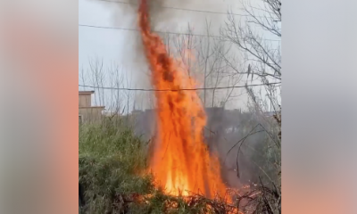 incendio-via-ripuaria