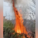 incendio-via-ripuaria