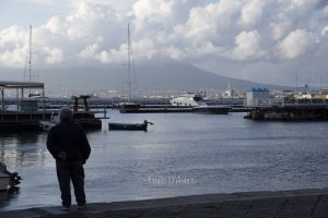 verso la fase 2: gli stabiesi si riprendono la città. la fotocronaca di oggi