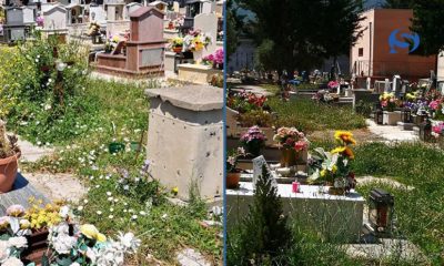 Ancora nell'abbandono il cimitero stabiese: erba sulle tombe e furti di marmo, la denuncia social 79 notizie castellammare