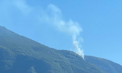 Coppia dispersa Faito