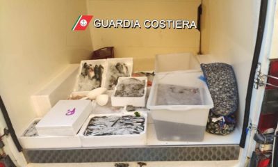 Vongole killer pescate a foce Sarno, sequestri e sanzioni dalla Capitaneria di Porto 67 notizie castellammare