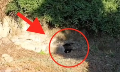 Tunnel Varano, la grotta ritrovata non è archeologica. Stamattina carabinieri sul cantiere 71 notizie castellammare