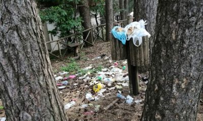 Monte Faito pattumiera, le immagini della vergogna 25 notizie castellammare