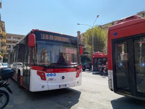 viaggio tra gli autobus vuoti ma puntuali. pensiline fatiscenti e orari vecchi