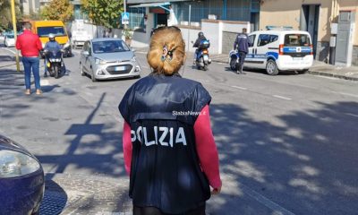 sindaco
