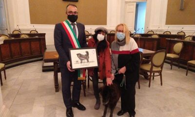 Cimmino accoglie il cane-sindaco Nerone: raccolta fondi per le cure 74 notizie castellammare