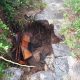 Maltempo, allarme dissesto idrogeologico nel centro antico: crollano muro e scalinata 26 notizie castellammare