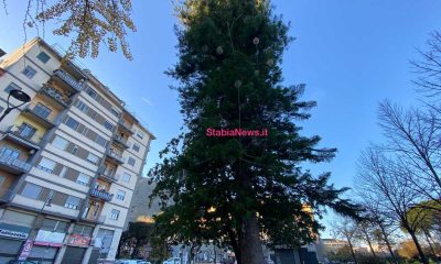 Luci di Natale, affidata l’installazione per 50mila euro. Ma sull’albero in Villa già ci sono le “palle” 37 notizie castellammare