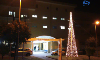 Si accende l'albero di Natale al Covid H di Boscotrecase 13 Vescovo