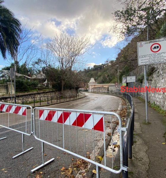 Via bonito