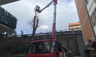 Maltempo, rami pericolanti: intervento dei vigili del fuoco 3 vigili del fuoco