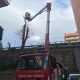 Maltempo, rami pericolanti: intervento dei vigili del fuoco 4 vigili del fuoco