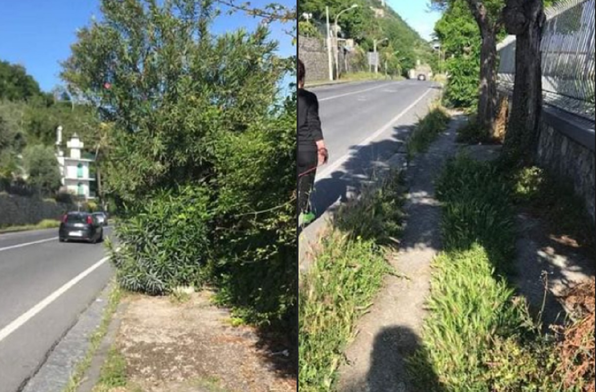 via panoramica invasa da erbacce