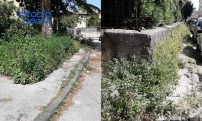 EAV