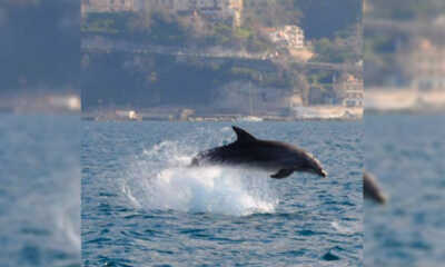 Castellammare