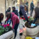 Essere Stabia