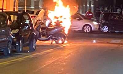 camorra