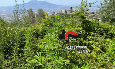 sorrento