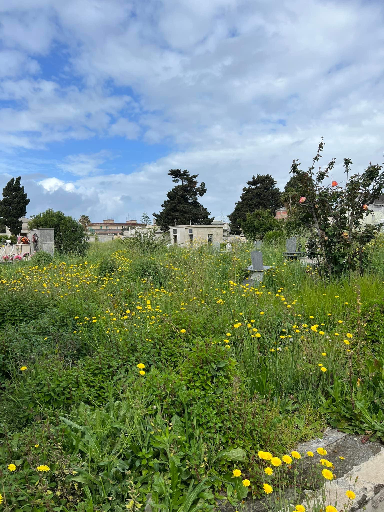 Cimitero