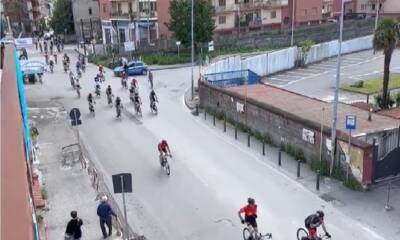 Elezioni comunali