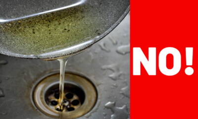 Castellammare, campagna per gli oli esausti: due appuntamenti mensili per lo smaltimento 66 notizie castellammare