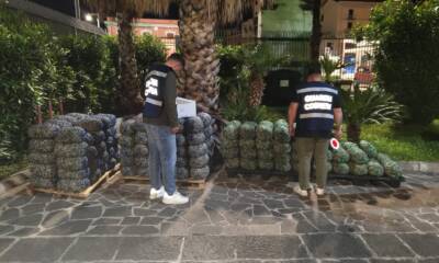 Sorrento