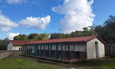 Prefetto