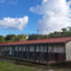 Prefetto