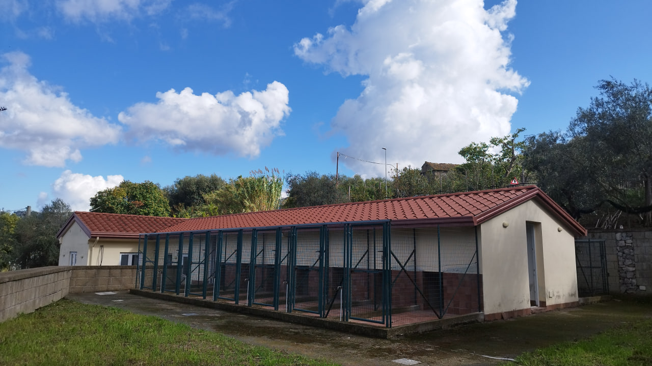 A Sant'Agnello nasce la casa di accoglienza per gli animali in attesa di adozione 1 animali