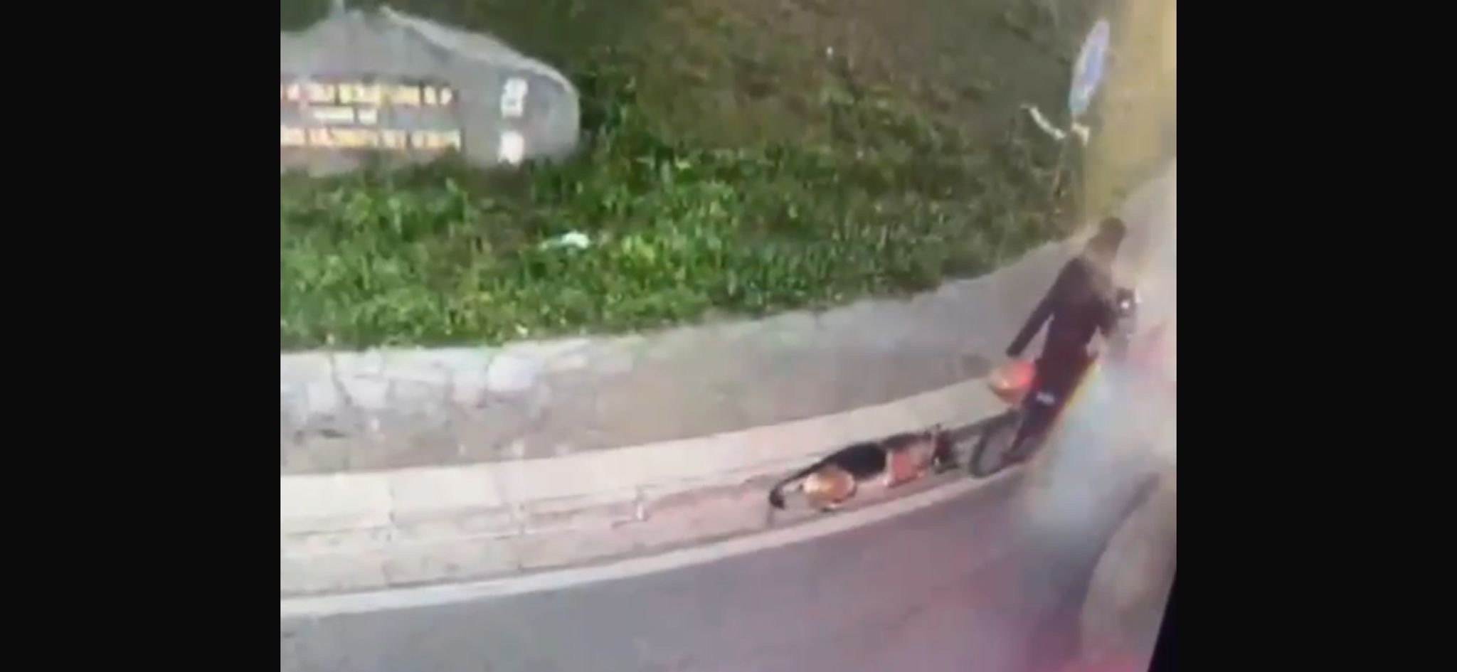 Orrore , trascina il cane per sei km a bordo di una e-bike 1 Cane