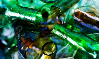 Cannabis