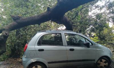 danni maltempo quercia sfonda auto a quisisan