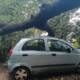 danni maltempo quercia sfonda auto a quisisan