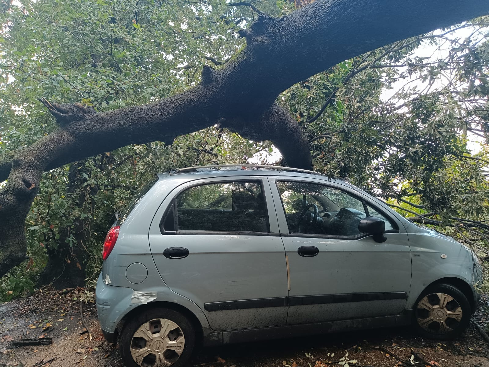 danni maltempo quercia sfonda auto a quisisan