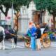 castellammare