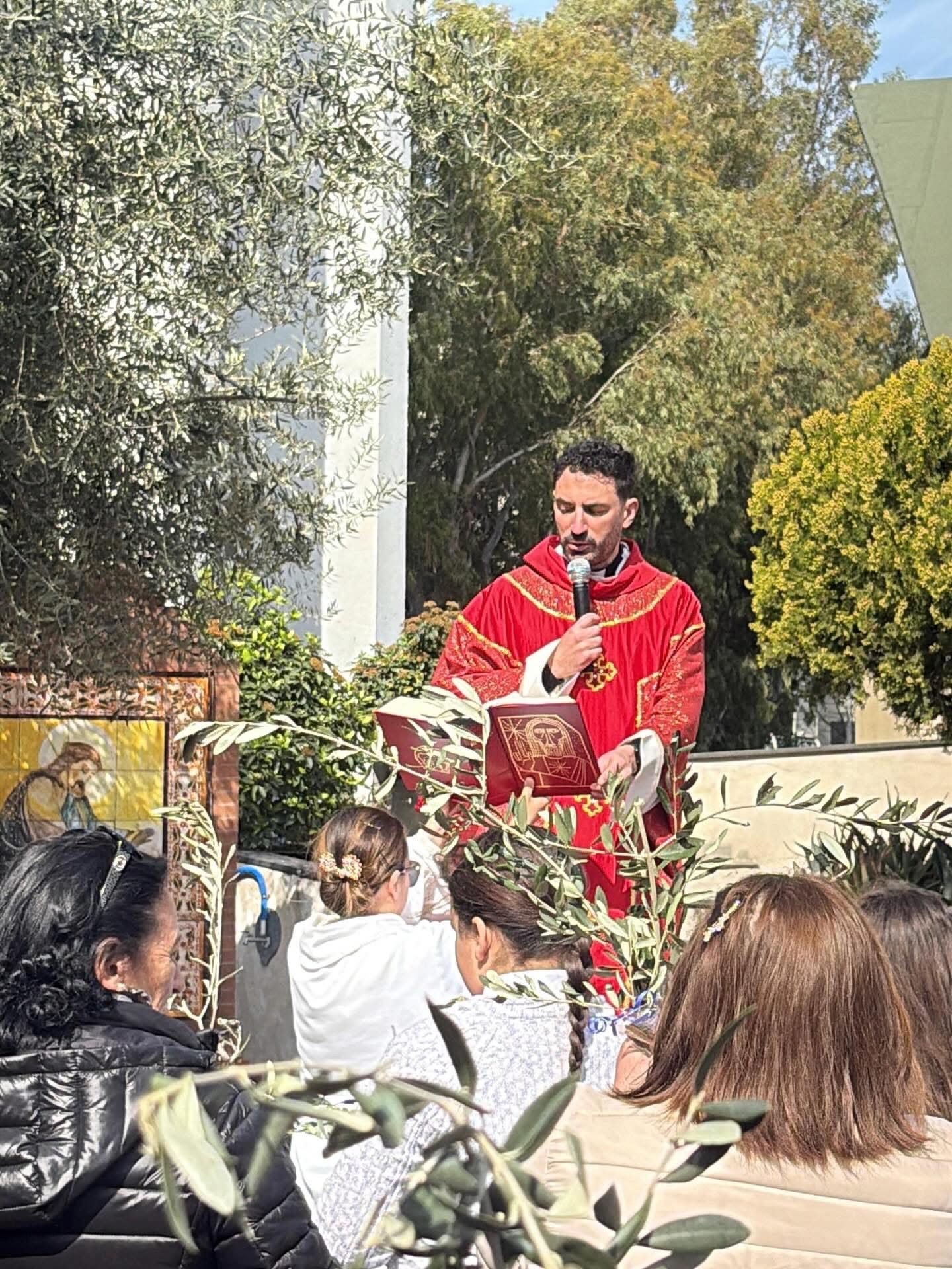 Don alfonso