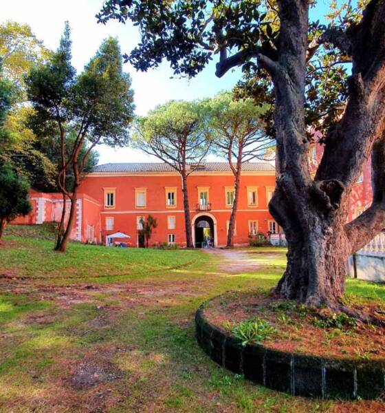 NASCE DPG-DALLA PARTE GIUSTA. Coordinatore Provinciale Napoli Vincenzo Centoletti