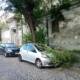 Sorrento