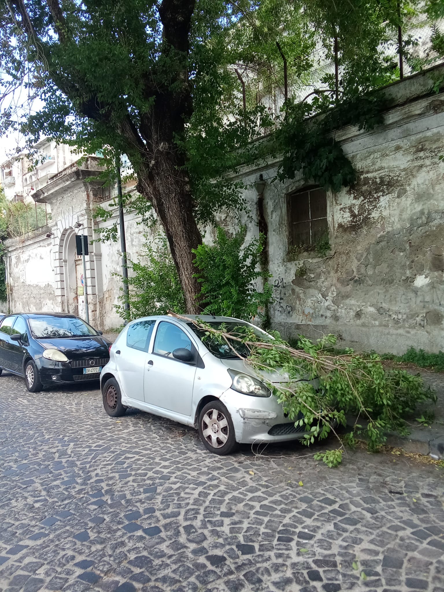 Via duilio