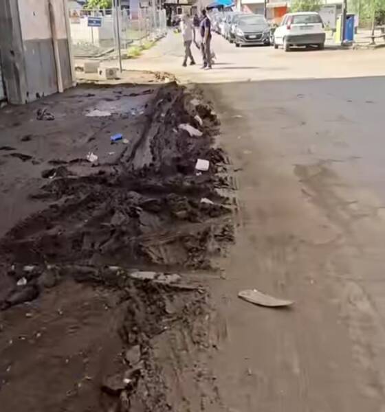 Via bonito
